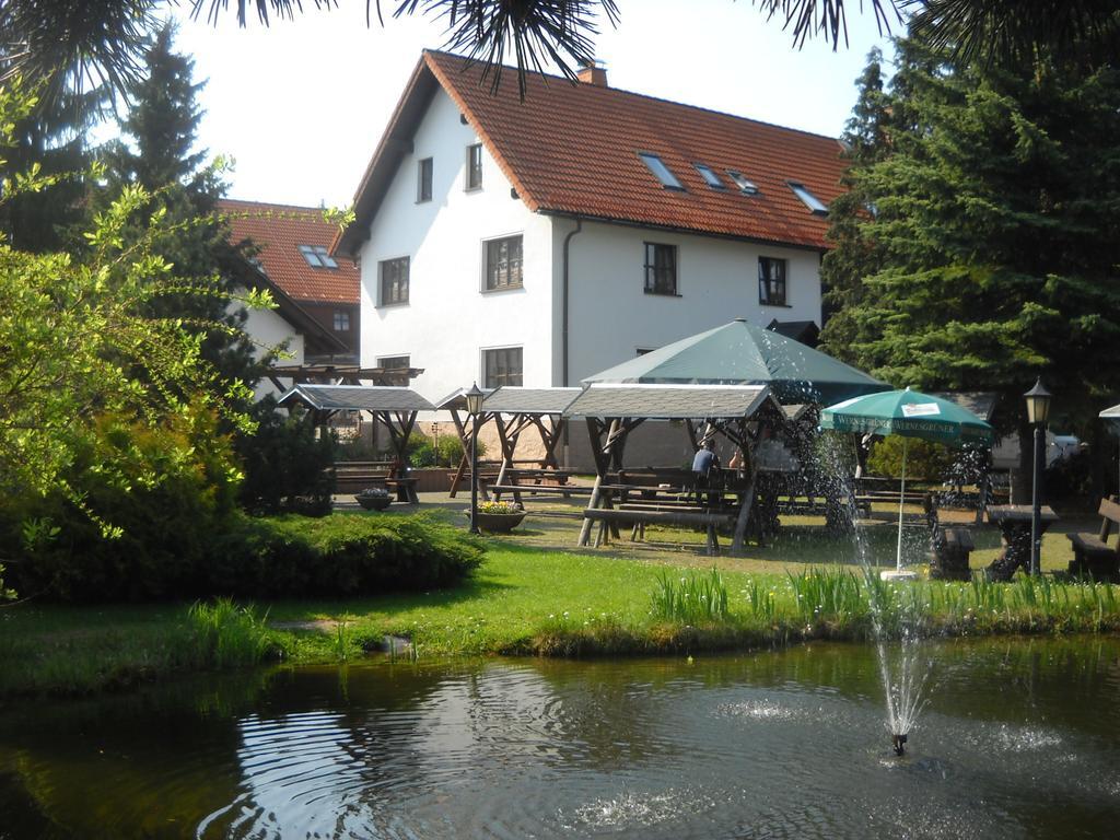 Hotel Hotel-pension Flechsig 3*